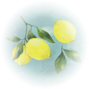 illust-lemon