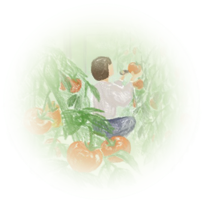 illust-tomato